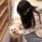 九游天剑诀手游下载